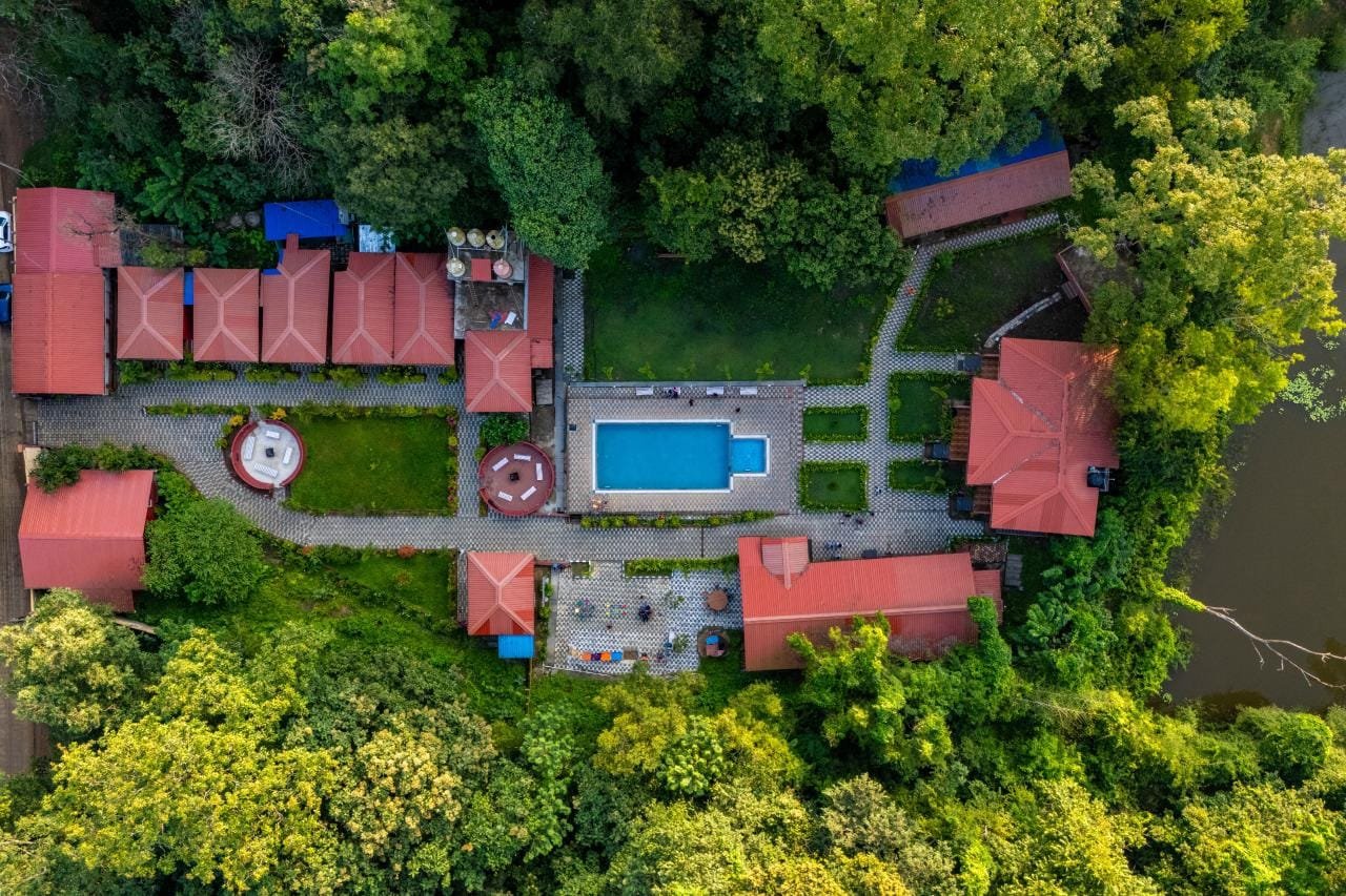 Aerial view of Wild Wings and its pool amid the forest